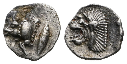 Ancient Greek coin from MYSIA, Kyzikos. 480-450 BC